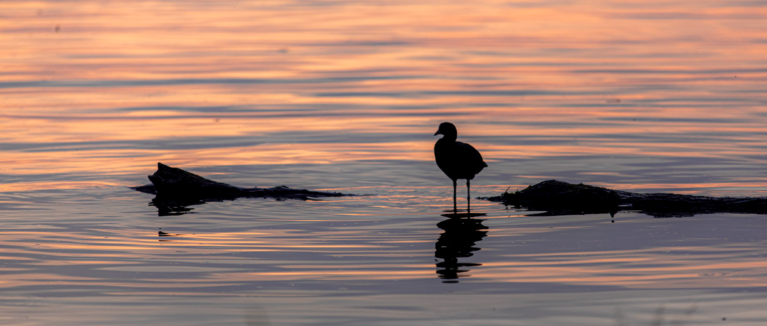 20230506201443 RD4 3904